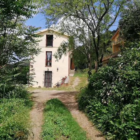 La Peonia In Montagna Prato Panorama Stupendo Sardegna * Seulo