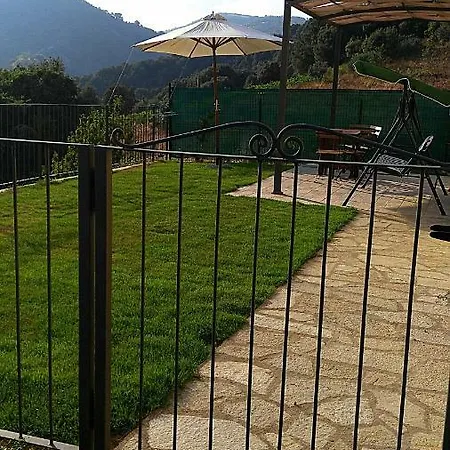 La Peonia In Montagna Prato Panorama Stupendo Sardegna