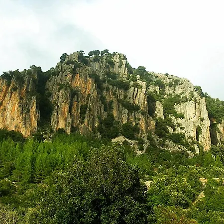 La Peonia In Montagna Prato Panorama Stupendo Sardegna *