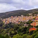 La Peonia In Montagna Prato Panorama Stupendo Sardegna *
