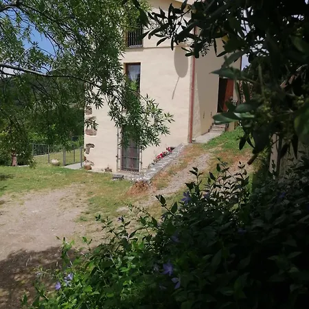 La Peonia In Montagna Prato Panorama Stupendo Sardegna Seùlo