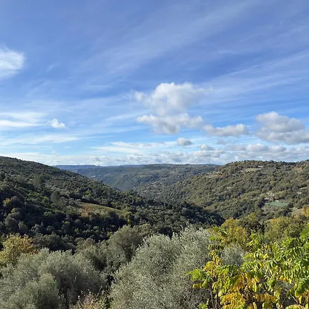 La Peonia In Montagna Prato Panorama Stupendo Sardegna