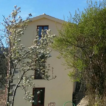 La Peonia In Montagna Prato Panorama Stupendo Sardegna