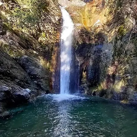 La Peonia In Montagna Prato Panorama Stupendo Sardegna * Seùlo
