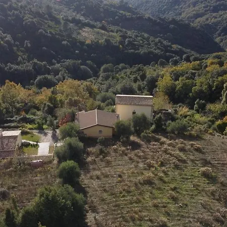 La Peonia In Montagna Prato Panorama Stupendo Sardegna * Seùlo