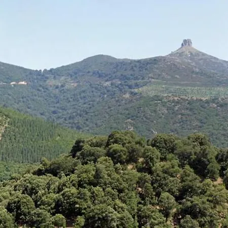La Peonia In Montagna Prato Panorama Stupendo Sardegna Apartamento Seùlo