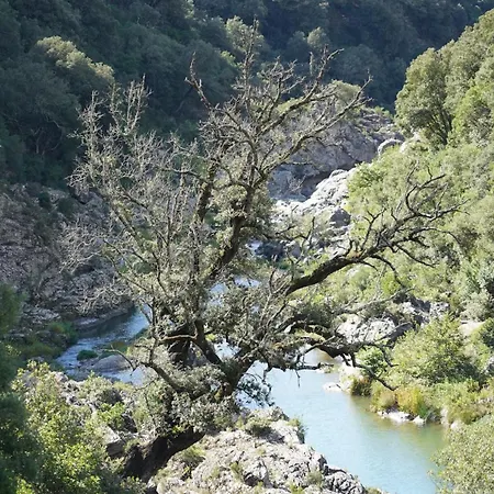 La Peonia In Montagna Prato Panorama Stupendo Sardegna Seùlo
