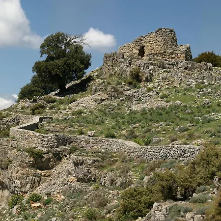 La Peonia In Montagna Prato Panorama Stupendo Sardegna Apartamento Seùlo