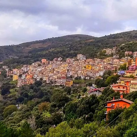 La Peonia In Montagna Prato Panorama Stupendo Sardegna *