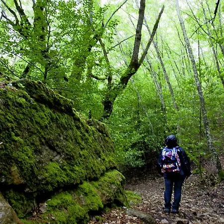 New!la Peonia,casa In Montagna, Prato Panorama Stupendo-sardegna Appartamento Seùlo