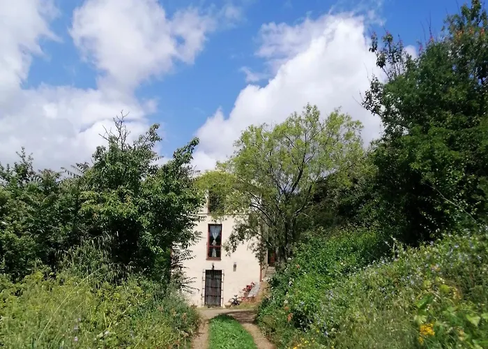 La Peonia In Montagna Prato Panorama Stupendo Sardegna Seùlo
