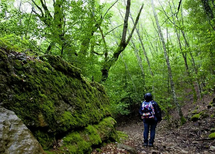La Peonia In Montagna Prato Panorama Stupendo Sardegna Apartment Seùlo