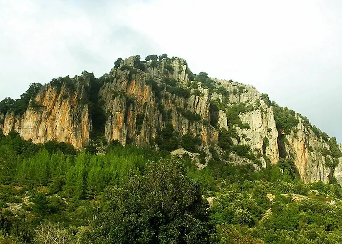 La Peonia In Montagna Prato Panorama Stupendo Sardegna *